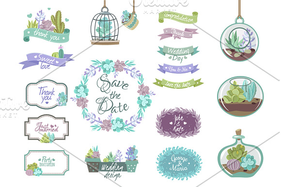 Cactus Pale Set in Illustrations - product preview 3