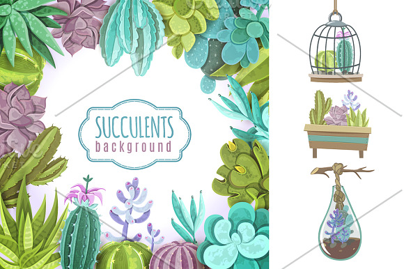 Cactus Pale Set in Illustrations - product preview 4