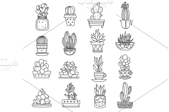 Cactus Pale Set in Illustrations - product preview 5