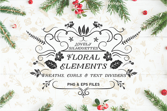 Floral Elements, Curls & Swirls in Illustrations - product preview 4