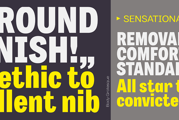 Body - 64 fonts in Sans-Serif Fonts - product preview 6