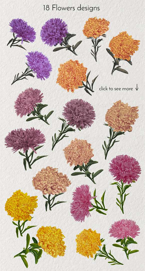 Ink Fantasy - Asters in Illustrations - product preview 3
