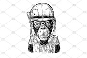 Monkey soldier in helmet