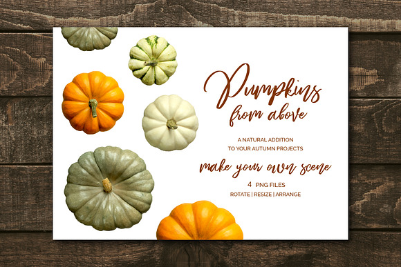 Pumpkins - Realistic Top View MockUp in Objects - product preview 1