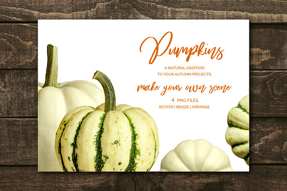 White Pumpkins - Realistic MockUp in Objects - product preview 1