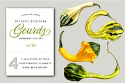 Gourds - Realistic Isolated MockUp