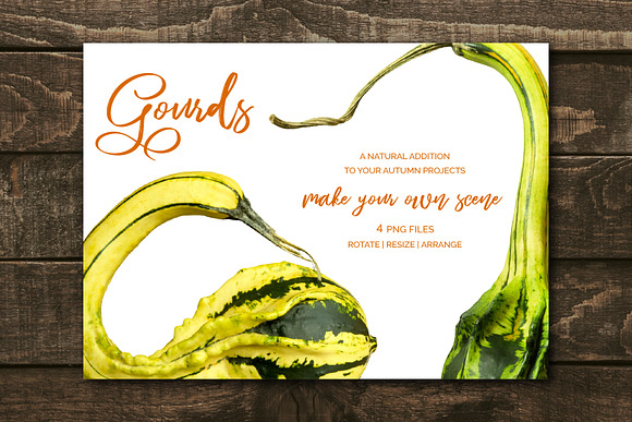 Gourds - Realistic Isolated MockUp in Objects - product preview 1