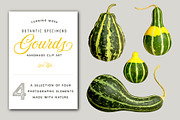 Gourds - Isolated Realistic MockUp