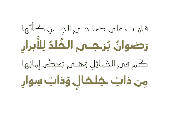 Moltaqa - Arabic Typeface in Non Western Fonts - product preview 5