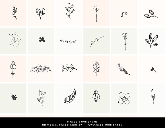 PNG 101 Hand Drawn Botanical Element in Illustrations - product preview 3