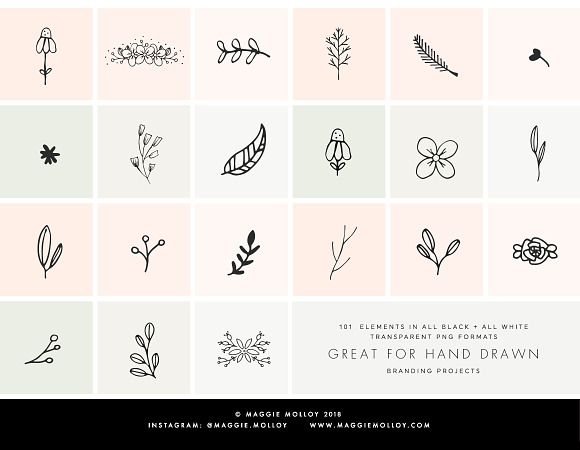 PNG 101 Hand Drawn Botanical Element in Illustrations - product preview 6