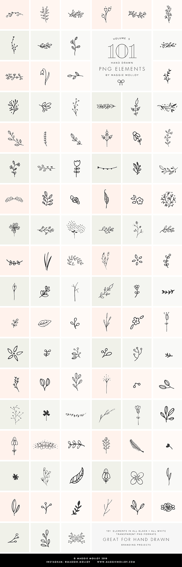 PNG 101 Hand Drawn Botanical Element in Illustrations - product preview 7