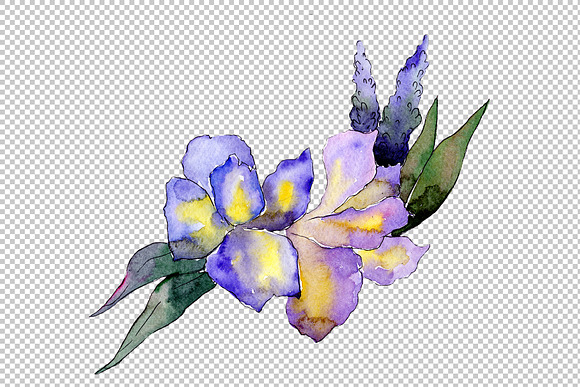 Bouquet flower composition PNG set in Illustrations - product preview 1