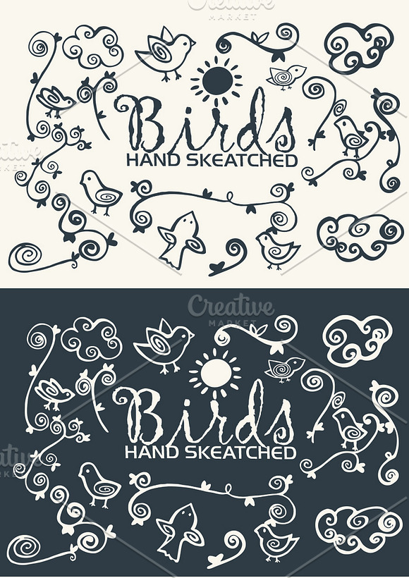 Birds ClipArt - Vector & PNG in Illustrations - product preview 1