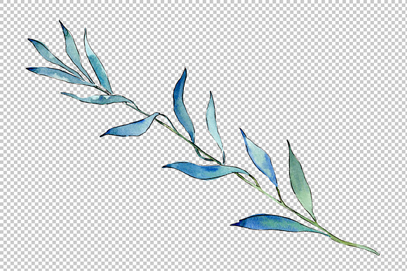 Willow branches PNG watercolor set in Illustrations - product preview 1