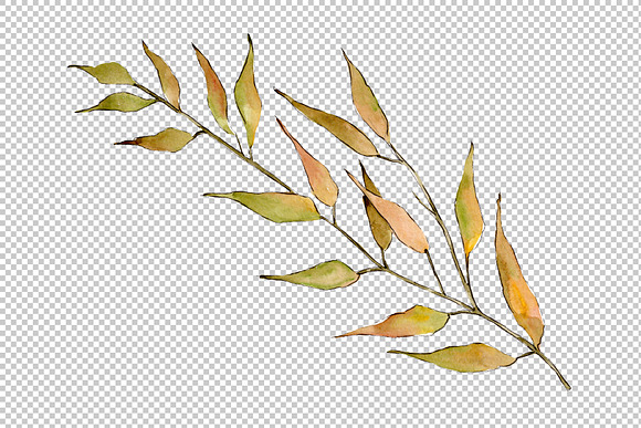 Willow branches PNG watercolor set in Illustrations - product preview 4
