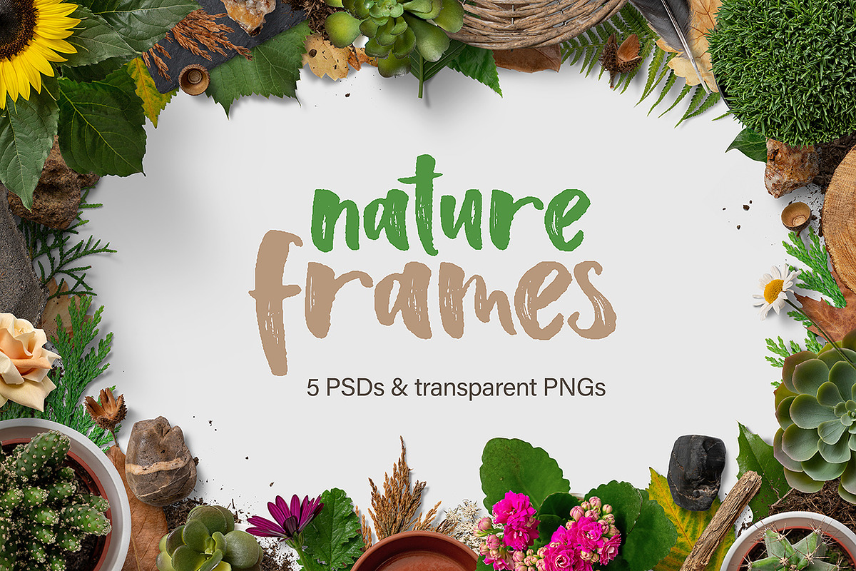 5 Nature Frames in Objects - product preview 8