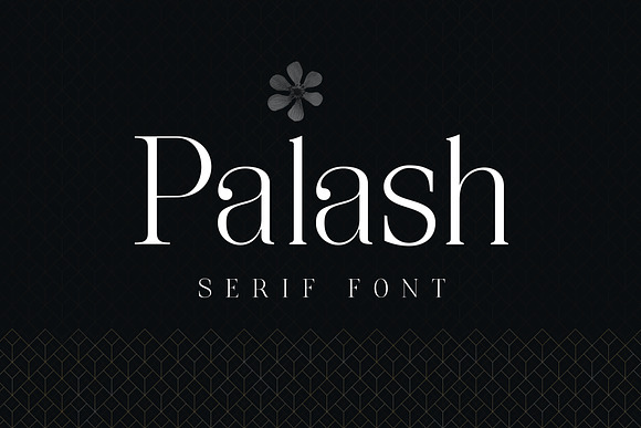 Elegant - Font Collection - 7 Fonts in Sans-Serif Fonts - product preview 8