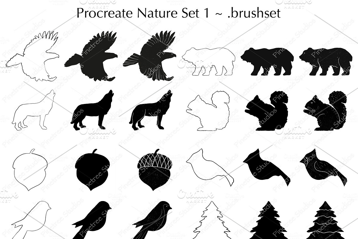 Procreate Nature Set 1 Stamps in Add-Ons - product preview 8
