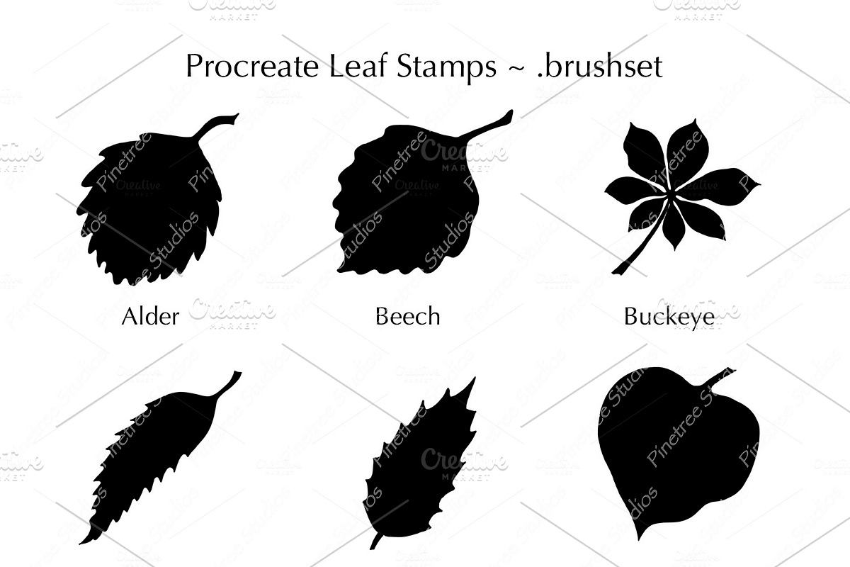 Procreate 24 Leaf Stamps ~ .brushset in Add-Ons - product preview 8