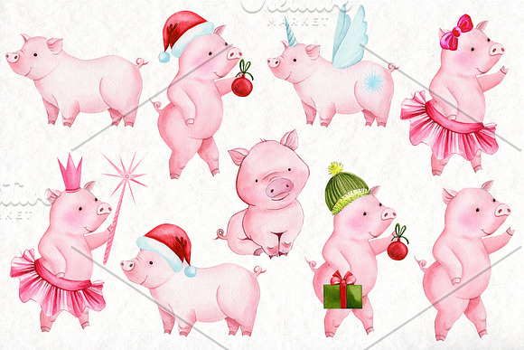 Watercolor Christmas, Cute Pigs in Illustrations - product preview 5