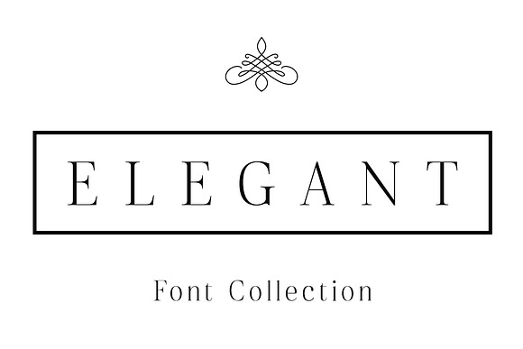 Elegant - Font Collection - 7 Fonts in Sans-Serif Fonts - product preview 40