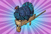 A turkey on a wooden farm