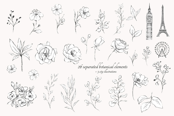 Botanica. Floral graphic set in Illustrations - product preview 2