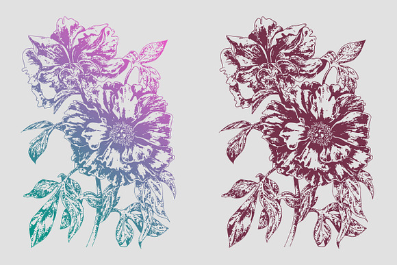 Botanical art flowers, t-shirts in Illustrations - product preview 5