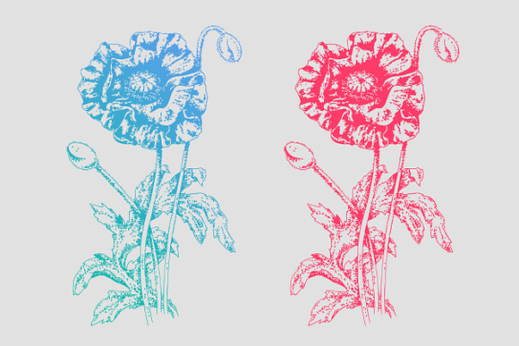 Botanical art flowers, t-shirts in Illustrations - product preview 6