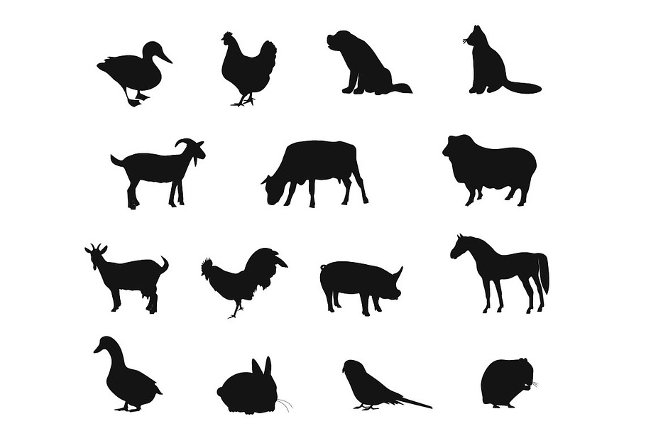 Set of domestic and farm animals 