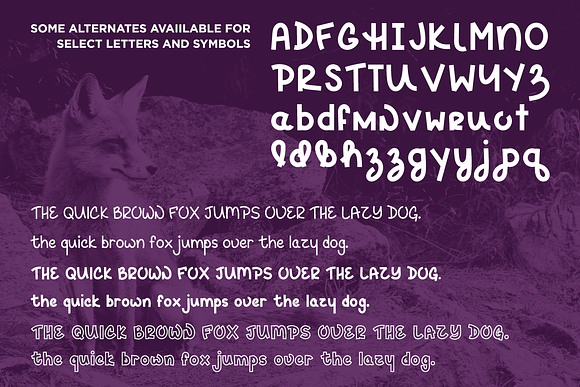 Hey Fox Font Trio + BONUS in Display Fonts - product preview 3