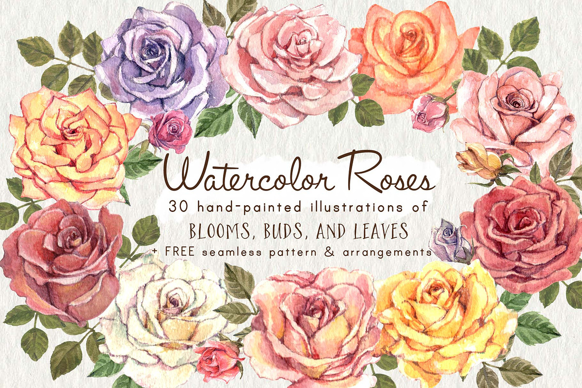 Watercolor Roses Flower Clip Art in Illustrations - product preview 8