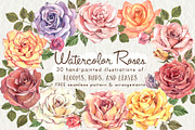 Watercolor Roses Flower Clip Art