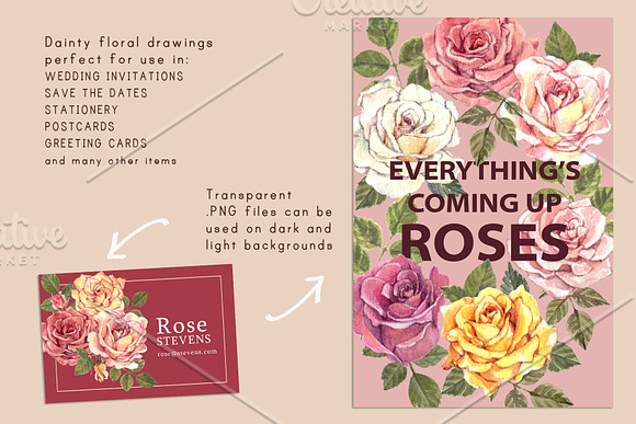 Watercolor Roses Flower Clip Art in Illustrations - product preview 1