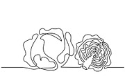 Vegetables cabbages one line drawing
