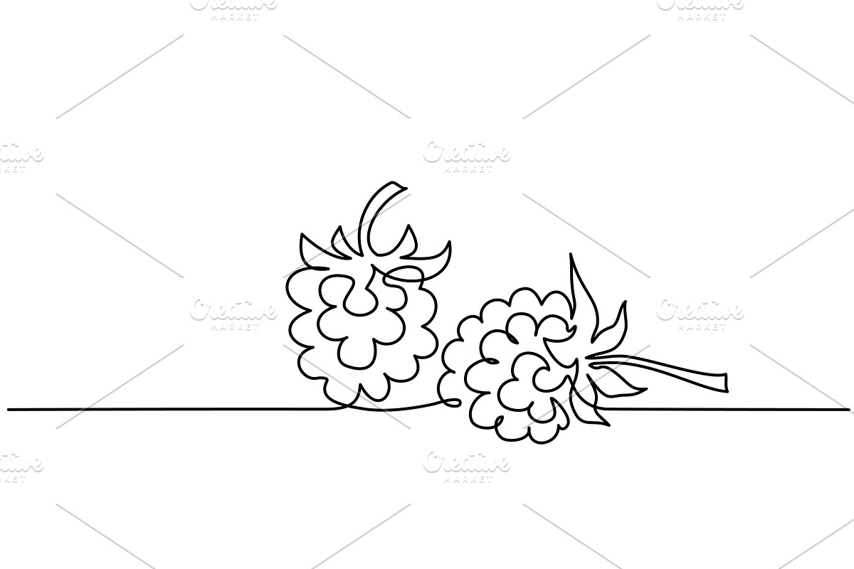 Continuous one line draw Raspberry in Illustrations - product preview 8
