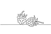 Continuous one line draw Raspberry