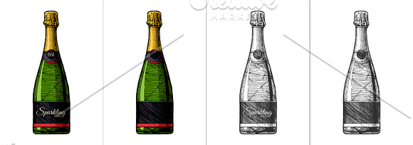 Types of Wine Bottles in Illustrations - product preview 1