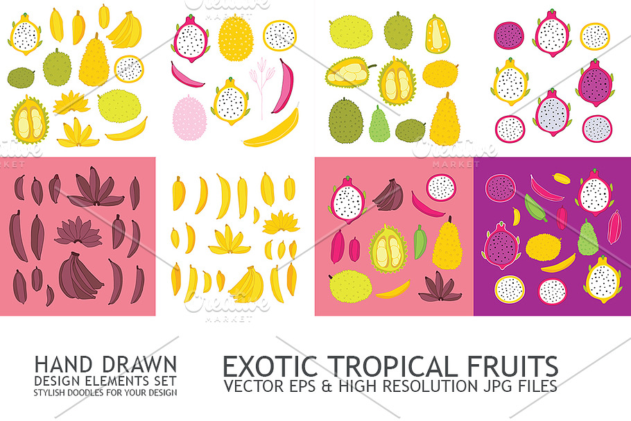 Tropical fruits icons design elemens