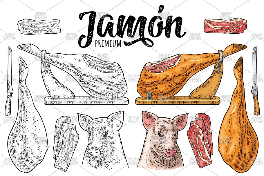Pig head, jamon leg on horizontal in Illustrations - product preview 8