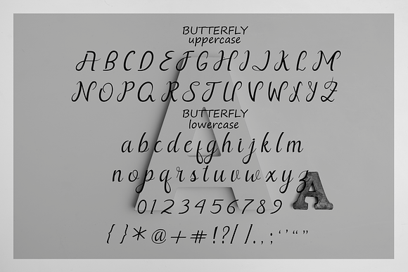 Butterfly in Script Fonts - product preview 7