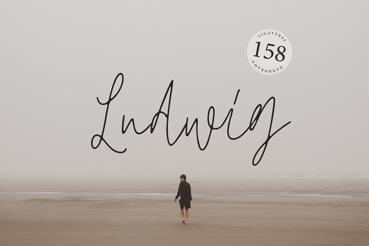 Ludwig Script in Script Fonts - product preview 8