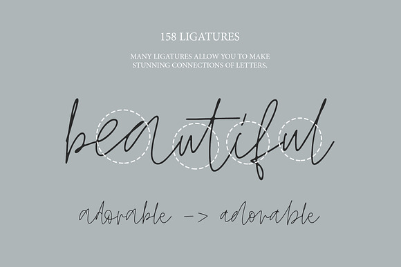 Ludwig Script in Script Fonts - product preview 2