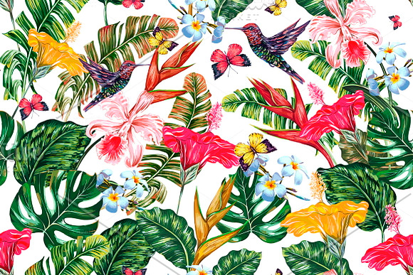 Tropical botanical illustrations in Illustrations - product preview 2