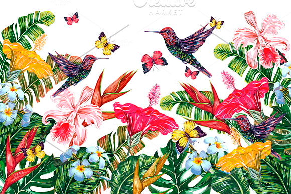 Tropical botanical illustrations in Illustrations - product preview 4