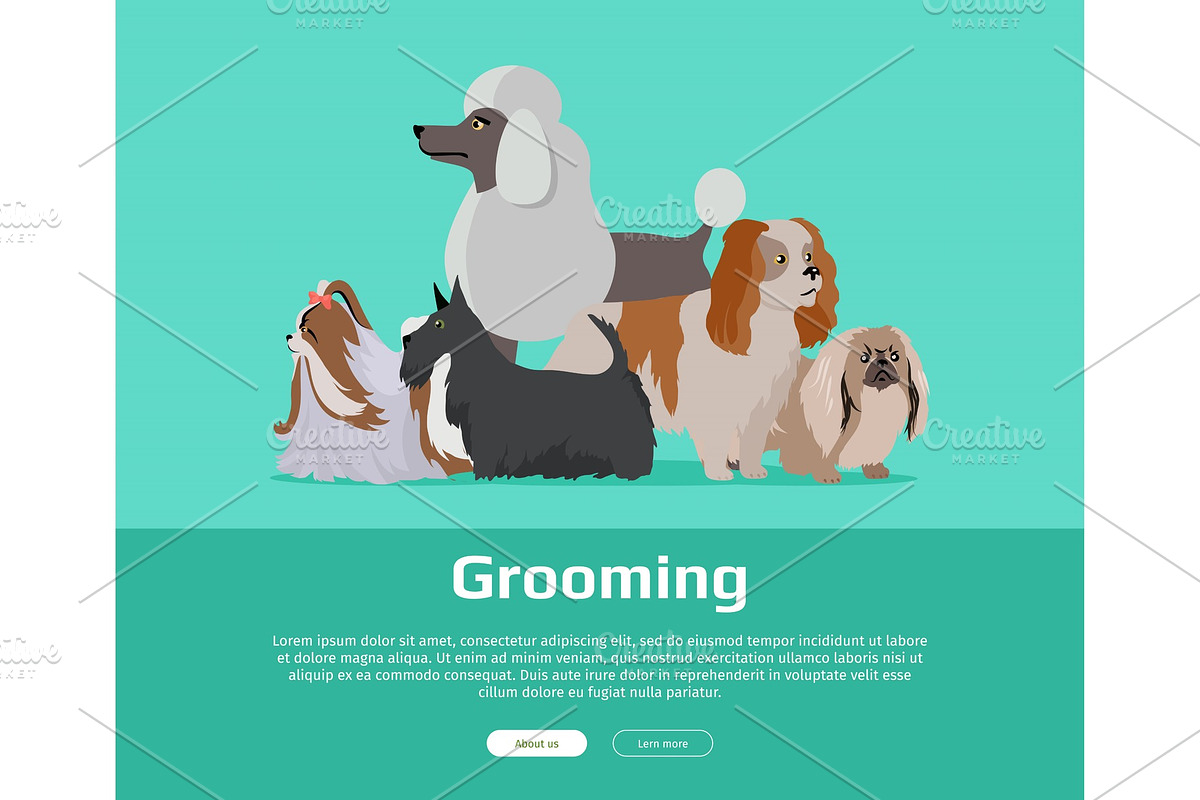 Dog Grooming Banner. Long Haired Dog in Illustrations - product preview 8