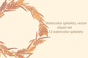 Watercolor spikelets, vector