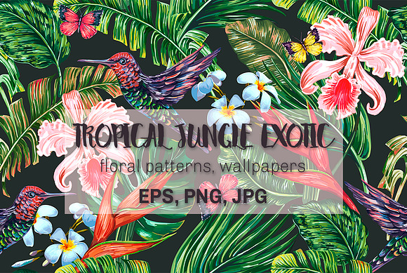 Tropical botanical illustrations in Illustrations - product preview 5