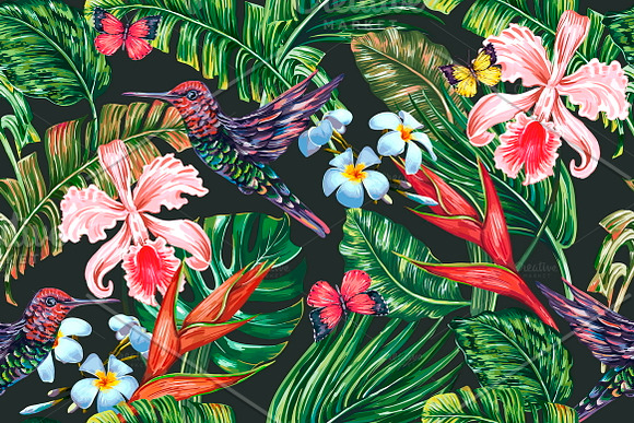 Tropical botanical illustrations in Illustrations - product preview 6